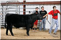 LCFAIR17-6722.jpg
