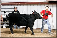 LCFAIR17-6723.jpg