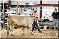 LCFAIR17-6724.jpg