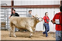 LCFAIR17-6725.jpg