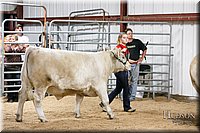 LCFAIR17-6726.jpg