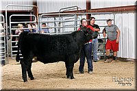 LCFAIR17-6727.jpg