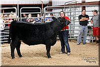 LCFAIR17-6729.jpg