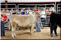 LCFAIR17-6730.jpg