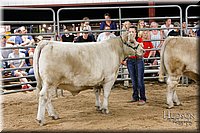 LCFAIR17-6731.jpg