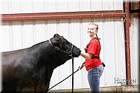 LCFAIR17-6732.jpg
