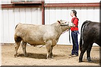LCFAIR17-6734.jpg
