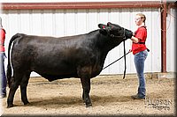 LCFAIR17-6736.jpg