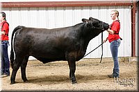 LCFAIR17-6737.jpg