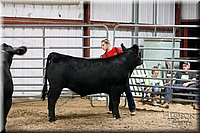 LCFAIR17-6738.jpg