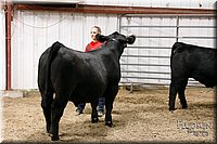 LCFAIR17-6739.jpg