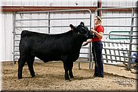 LCFAIR17-6740.jpg