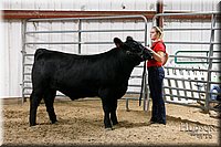 LCFAIR17-6741.jpg