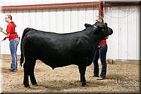 LCFAIR17-6742.jpg