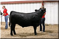 LCFAIR17-6743.jpg