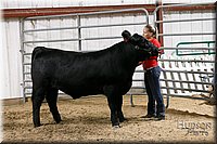 LCFAIR17-6744.jpg