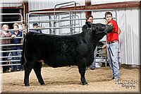 LCFAIR17-6746.jpg