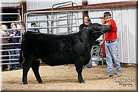 LCFAIR17-6747.jpg