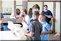 LCFAIR17-6231.jpg