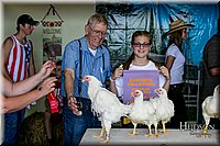 LCFAIR17-6239.jpg