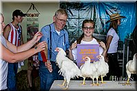 LCFAIR17-6240.jpg