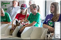 LCFAIR17-5749.jpg