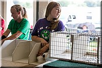 LCFAIR17-5753.jpg