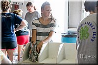 LCFAIR17-5784.jpg