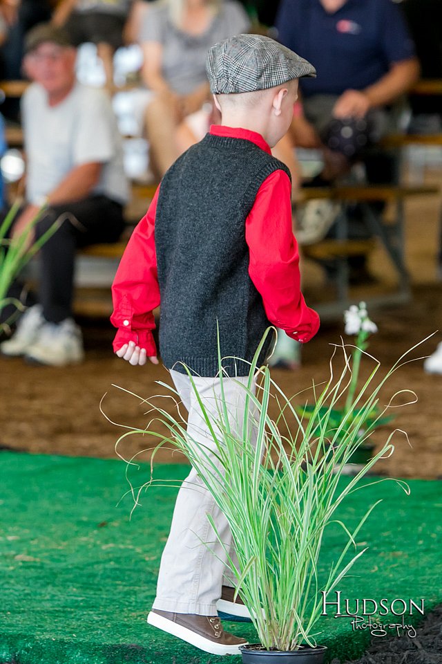 LCFAIR17-6891.jpg