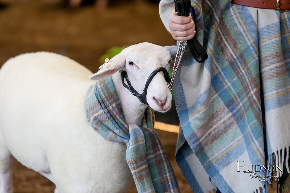 LCFAIR17-7322.jpg