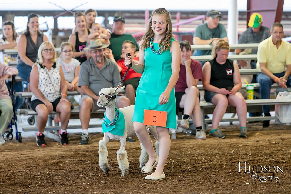LCFAIR17-7325.jpg