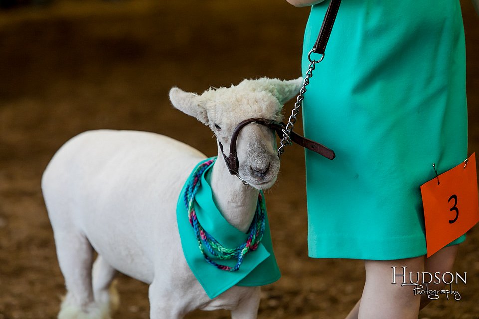 LCFAIR17-7336.jpg