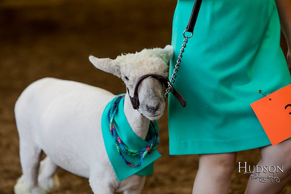 LCFAIR17-7337.jpg