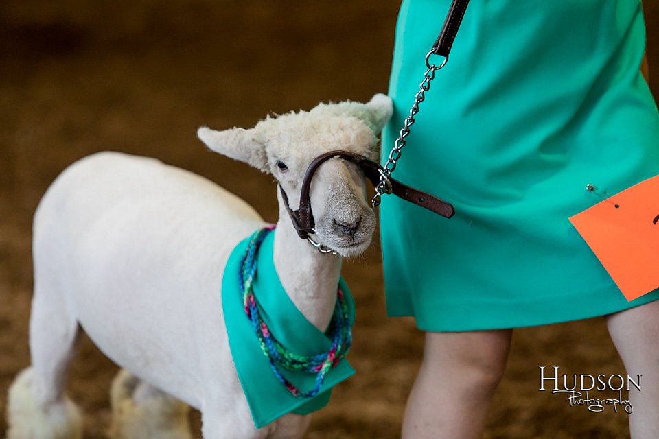 LCFAIR17-7338.jpg