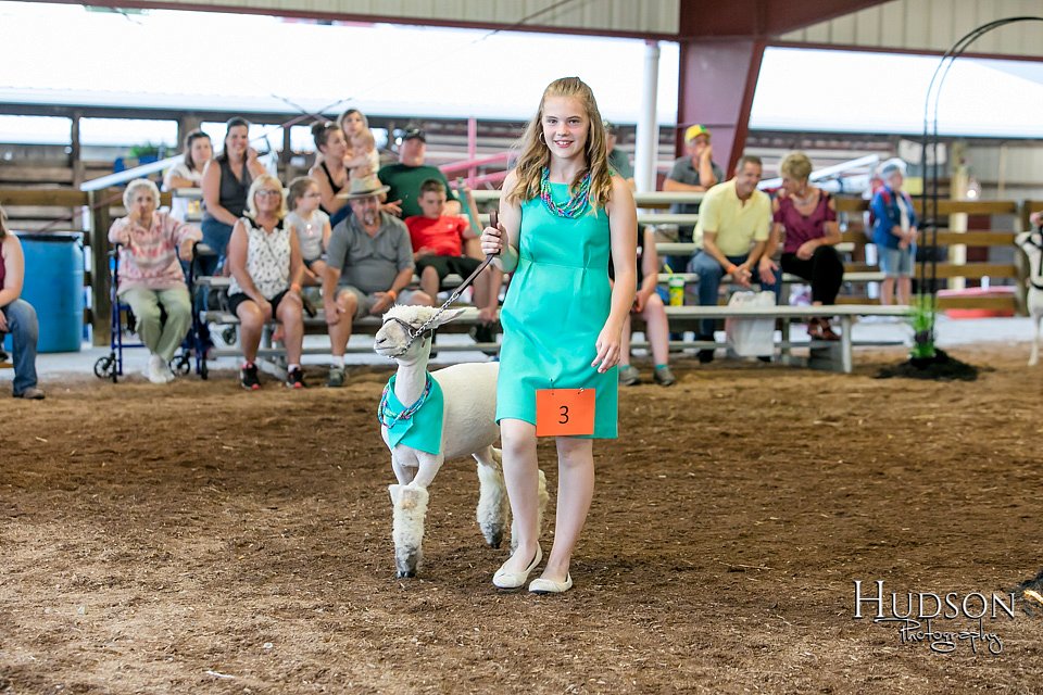 LCFAIR17-7360.jpg