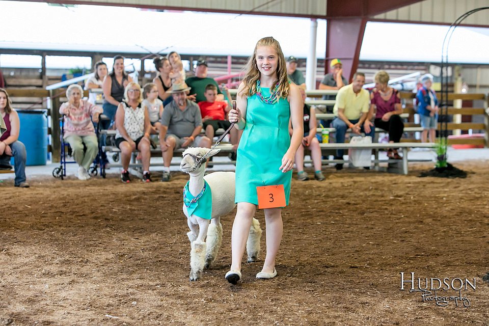 LCFAIR17-7361.jpg