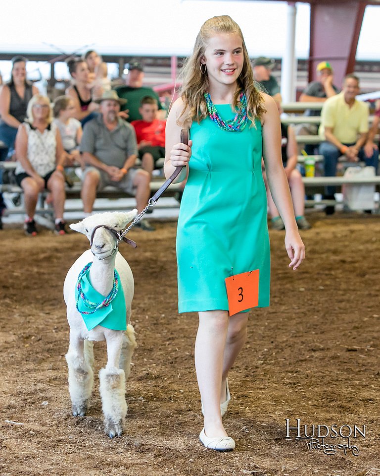 LCFAIR17-7362.jpg