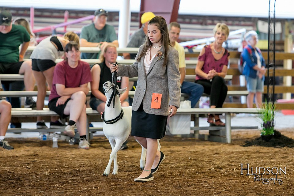 LCFAIR17-7366.jpg