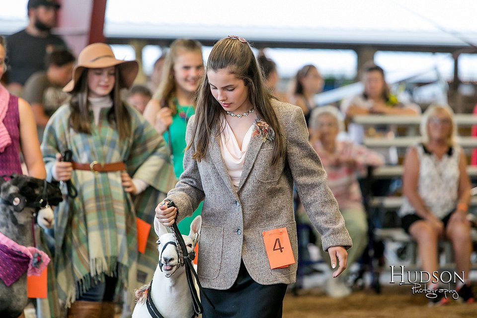 LCFAIR17-7371.jpg