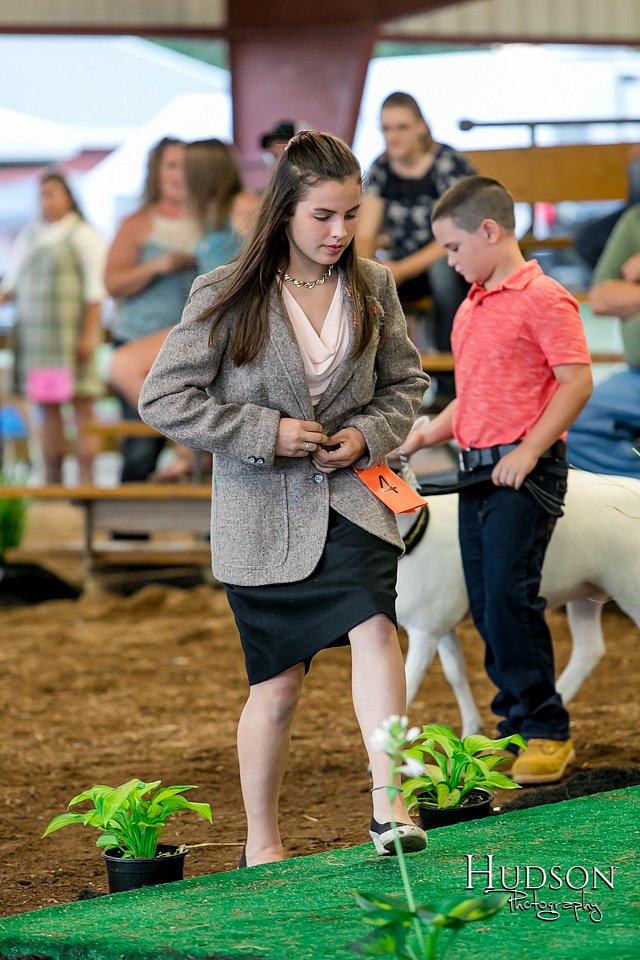 LCFAIR17-7376.jpg