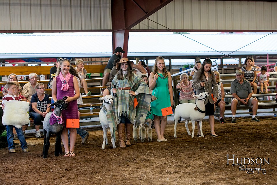 LCFAIR17-7401.jpg