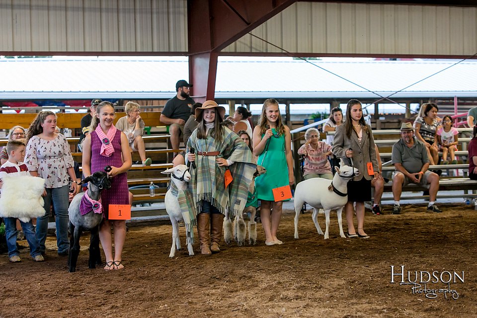 LCFAIR17-7403.jpg
