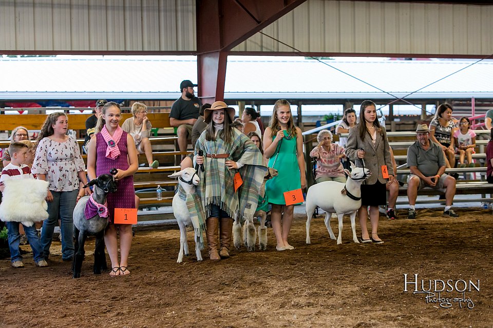 LCFAIR17-7404.jpg