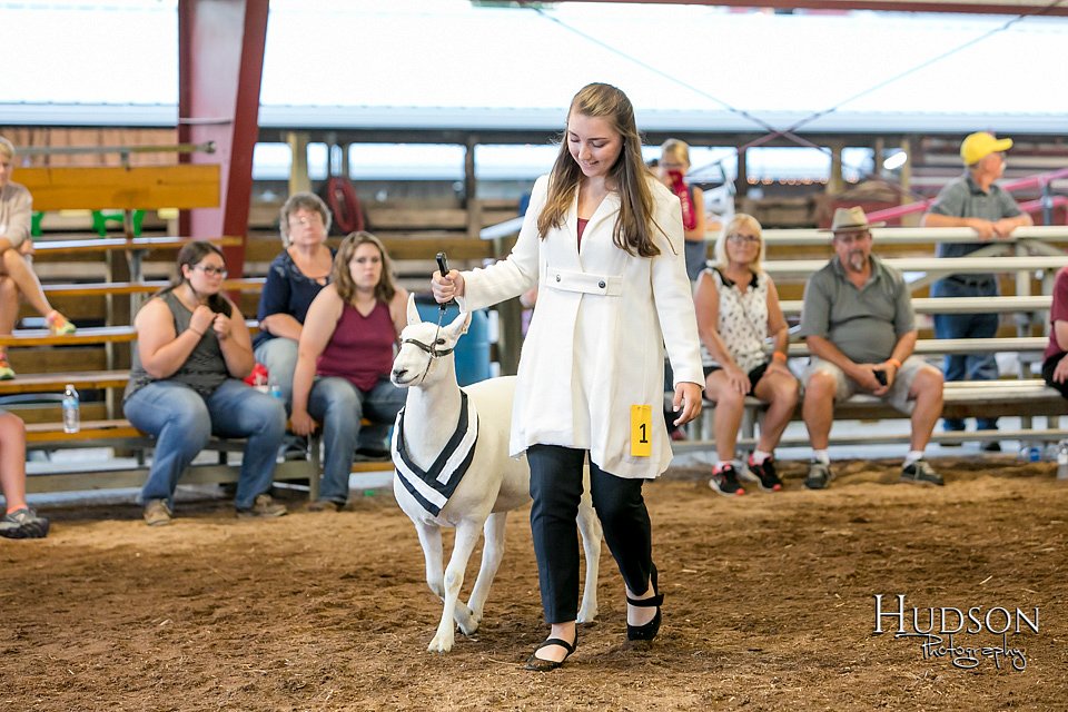 LCFAIR17-7485.jpg