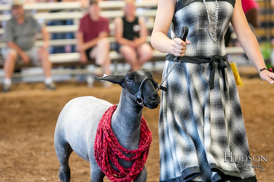 LCFAIR17-7516.jpg