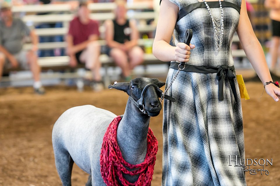 LCFAIR17-7517.jpg
