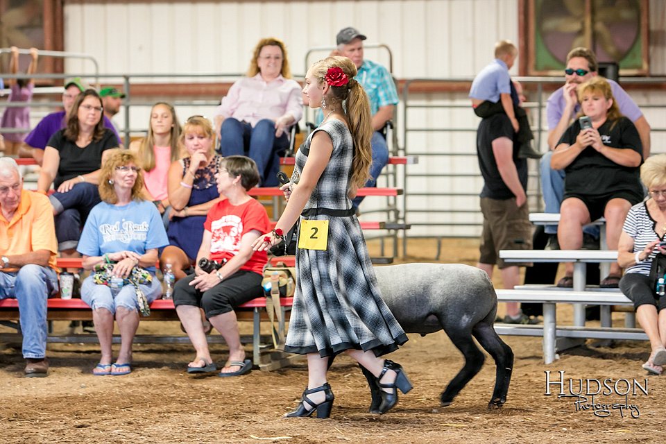 LCFAIR17-7524.jpg