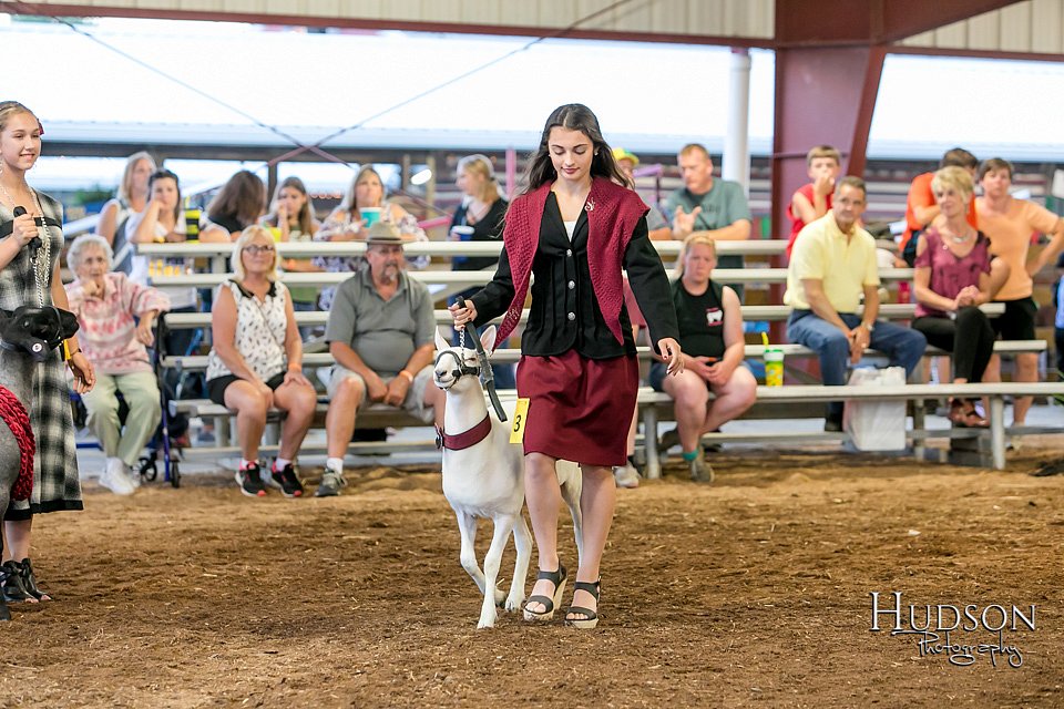 LCFAIR17-7569.jpg