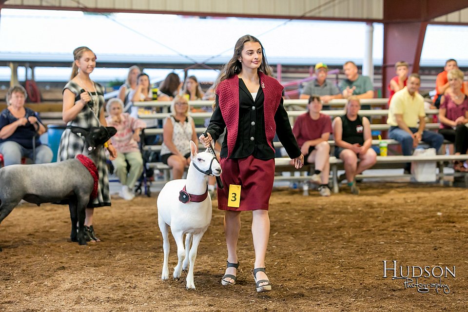 LCFAIR17-7571.jpg