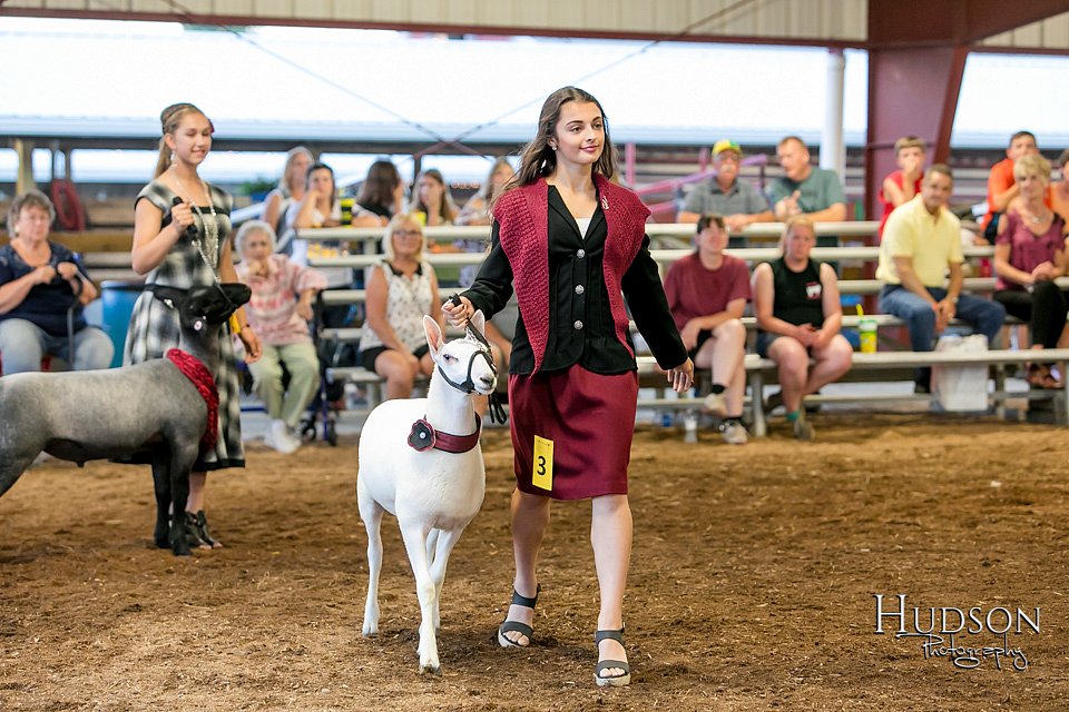 LCFAIR17-7572.jpg